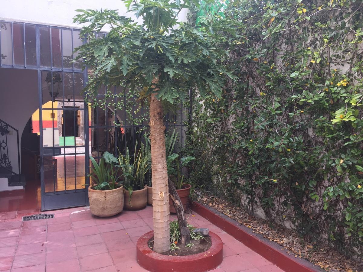 Alcatraz Hostal San Miguel de Allende Eksteriør bilde